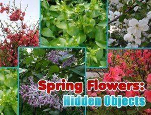 Botanical Finders: Spring Scene Search