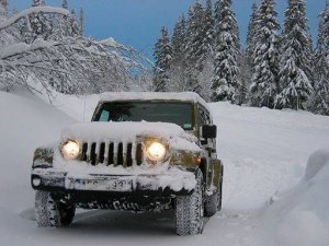 Alpine Taxi Challenge