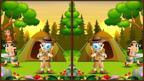 Spot 5 Differences Camping Puzzle Game
