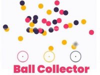 Ball Collector - Color Match Puzzle Game
