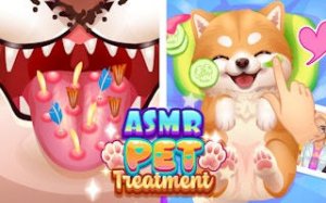 Cozy Pet Dress-Up and Care