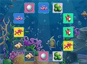 Underwater Pair Recall Challenge