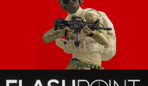 Flash Point Online Arena
